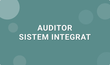 Auditor Integrat - ISO 9001 / ISO 14001 / ISO 45001